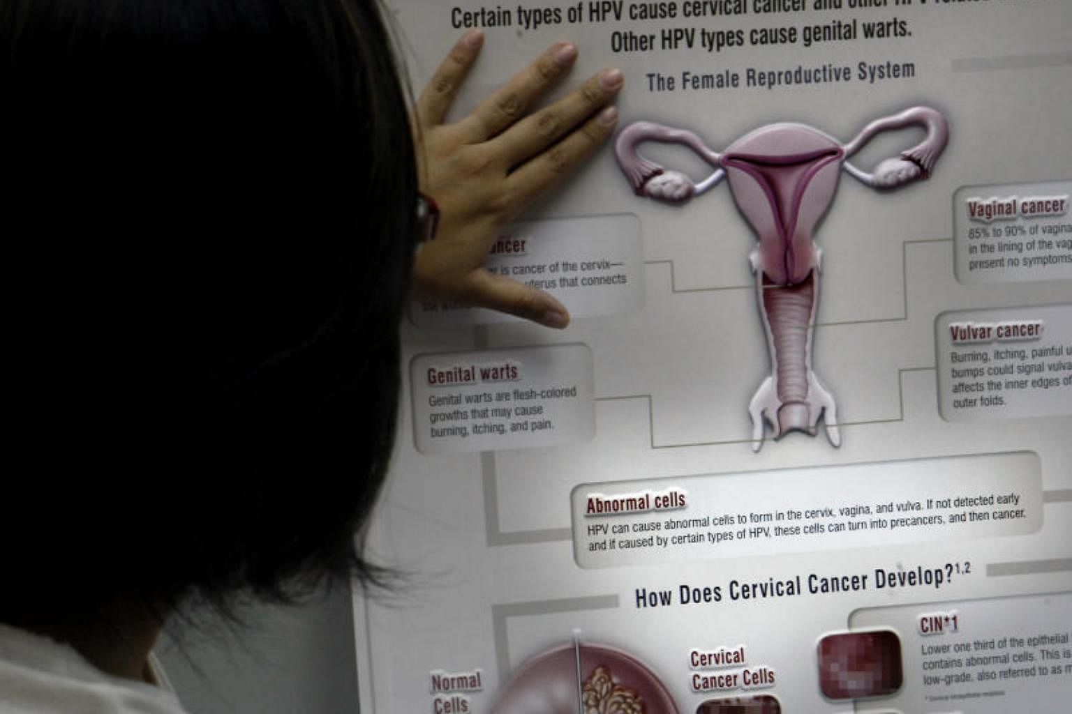 ovarian cancer jab singapore tratament pentru viermișori