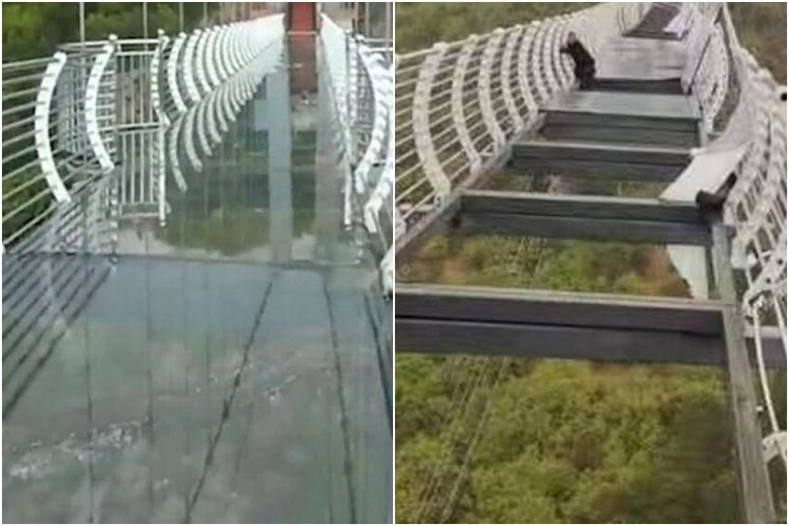 Tourist Stranded On Glass Bridge Triggers Safety Concerns Across China East Asia News Top Stories The Straits Times