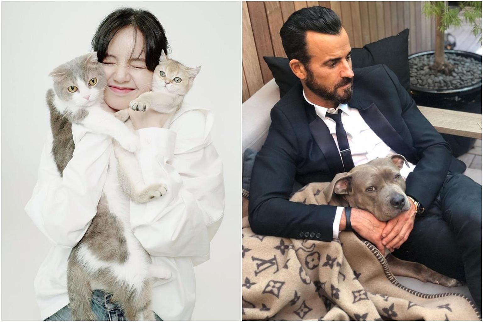 Blackpink S Lisa Actor Justin Theroux Start Instagram Accounts For Their Pets Entertainment News Top Stories The Straits Times