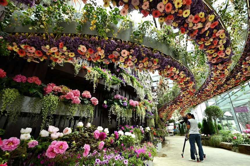 Fantasy In Full Bloom More Than 3 000, Flowers Gardens And Landscapes