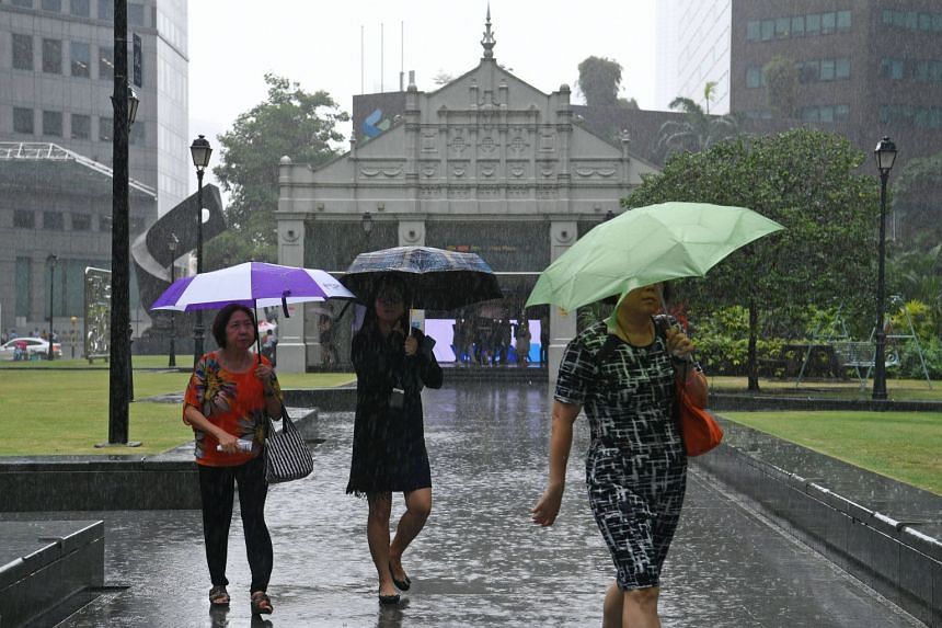 Expect more wet weather in the first half of November, with some thundery  showers, Singapore News &amp; Top Stories - The Straits Times