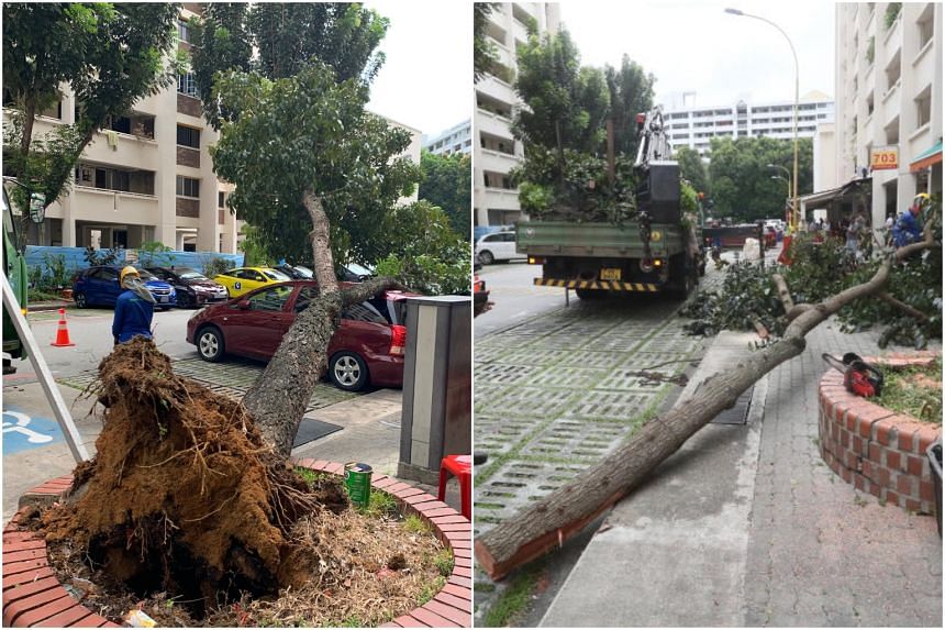 The incident in Hougang took place around 10.50am on Tuesday at Block 703 Hougang Avenue 2.