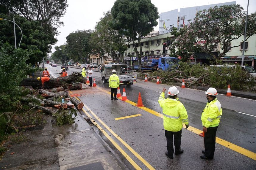 Sebatang pohon tumbang di Jalan MacPherson menuju Paya Lebar, menyebabkannya tidak bisa dilewati. 