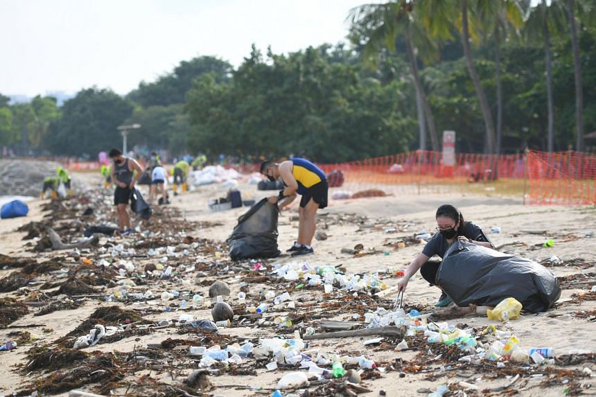 long beach ms clean up volunteer