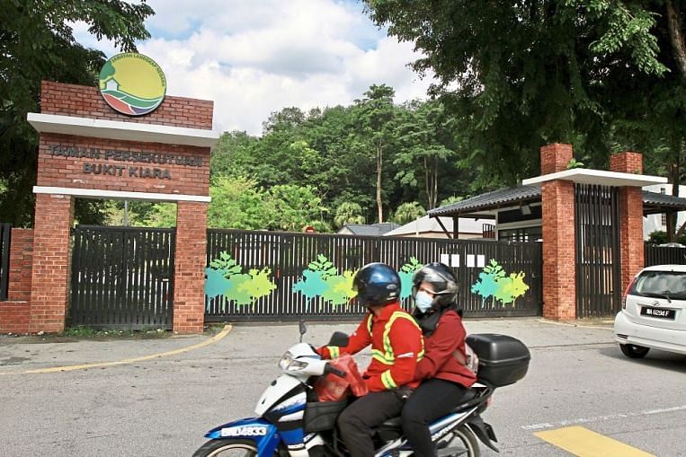 Malaysia allows outdoor sports and recreational activities in MCO areas after public furore, SE Asia News & Top Stories