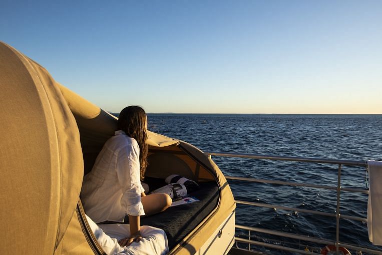 Partez en safari tuba et dormez avec les raies manta : une nouvelle aventure vous attend à la Grande Barrière de Corail , Travel News & Top Stories
