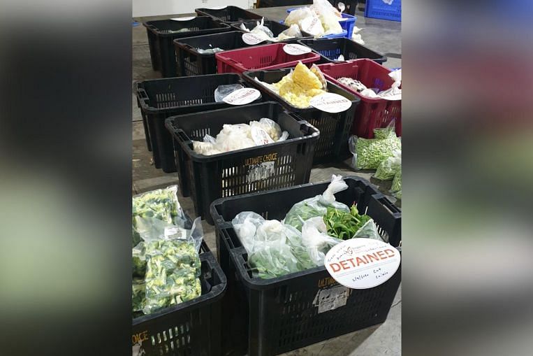 Fresh Choice Avenue didenda .000 untuk impor ilegal sayuran segar dan olahan, Singapore News & Top Stories
