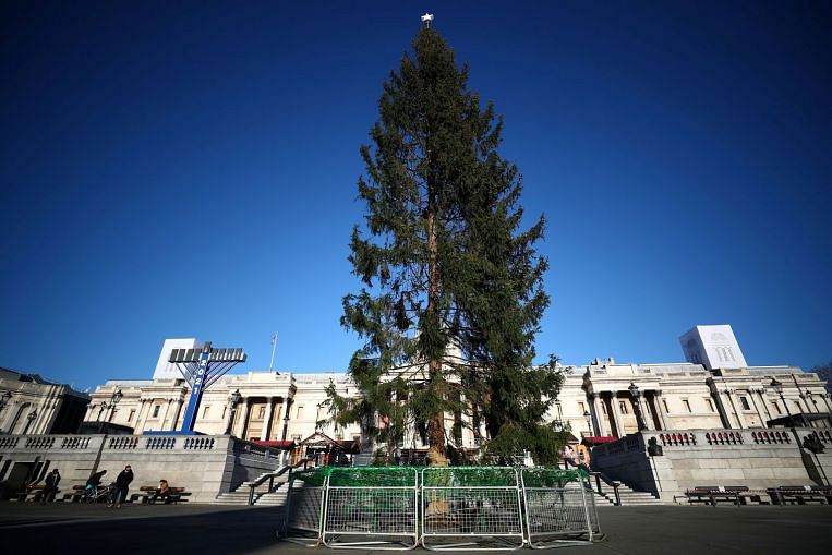 Hadiah pohon Natal ‘threadbare’ dari Norwegia mengecewakan beberapa orang di Inggris, Eropa News & Top Stories