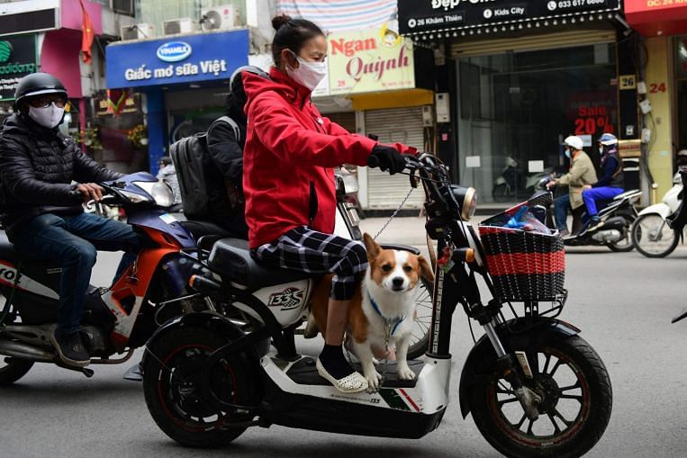 La ville touristique vietnamienne Hoi An s’engage à éliminer progressivement la viande de chien et de chat